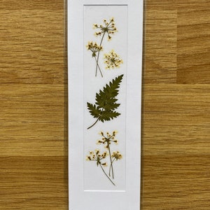 REAL Pressed Flower Bookmark, Botanical Bookmark, Gardeners Gift, Reading Gift, Forget Me Nots, Daisy Bookmark. Flower Bookmark. Buttercup Cow Parsley - No. 6
