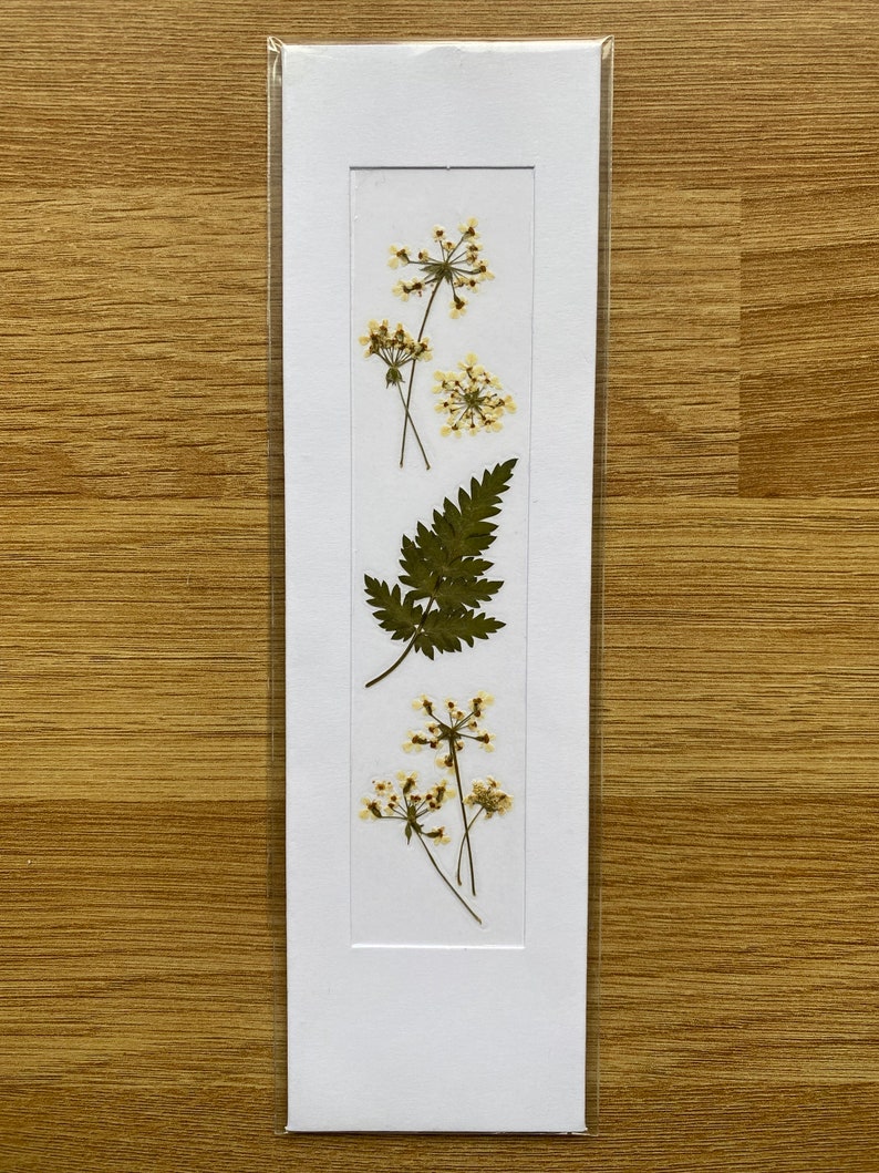 REAL Pressed Flower Bookmark, Botanical Bookmark, Gardeners Gift, Reading Gift, Forget Me Nots, Daisy Bookmark. Flower Bookmark. Buttercup Cow Parsley - No. 6