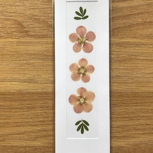 REAL Pressed Flower Bookmark, Botanical Bookmark, Gardeners Gift, Reading Gift, Forget Me Nots, Daisy Bookmark. Flower Bookmark. Buttercup Potentilla - No. 4