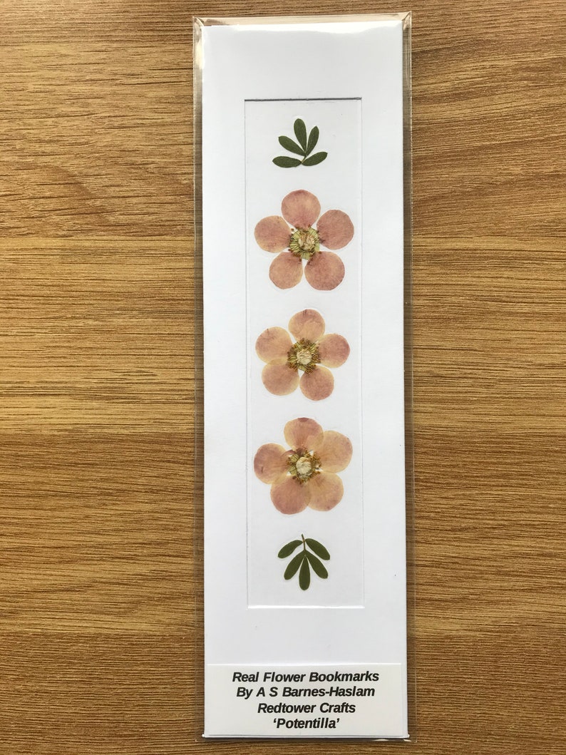 REAL Pressed Flower Bookmark, Botanical Bookmark, Gardeners Gift, Reading Gift, Forget Me Nots, Daisy Bookmark. Flower Bookmark. Buttercup Potentilla - No. 4