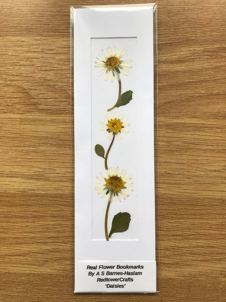 REAL Pressed Flower Bookmark, Botanical Bookmark, Gardeners Gift, Reading Gift, Forget Me Nots, Daisy Bookmark. Flower Bookmark. Buttercup Daisies - No. 1