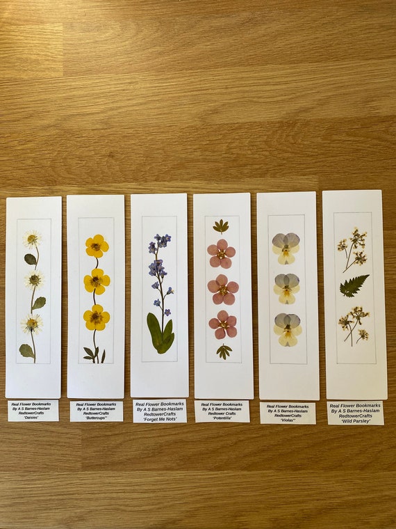 REAL Pressed Flower Bookmark, Botanical Bookmark, Gardeners Gift, Reading  Gift, Buttercup, Daisy Bookmarks. Flower Bookmarks. Buttercups. -   Norway