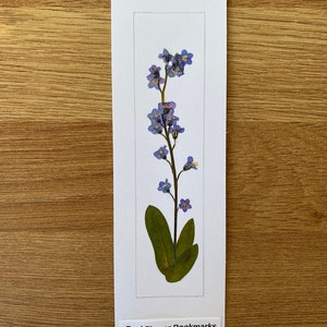 REAL Pressed Flower Bookmark, Botanical Bookmark, Gardeners Gift, Reading Gift, Forget Me Nots, Daisy Bookmark. Flower Bookmark. Buttercup Forget Me Not - No 3