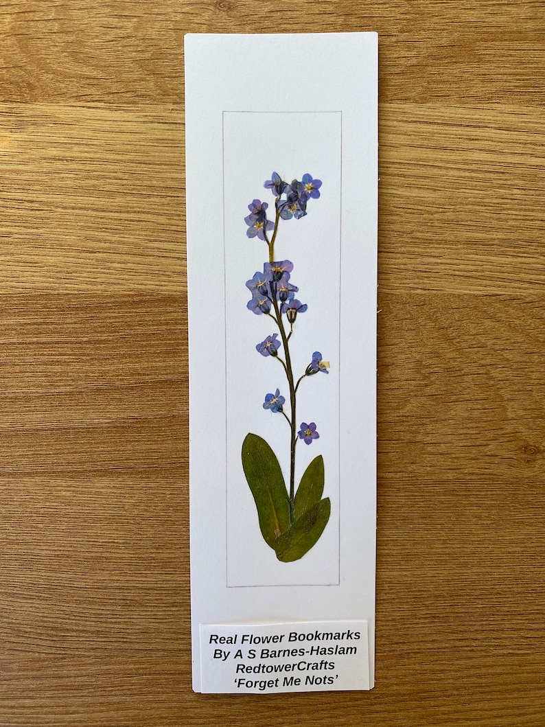 REAL Pressed Flower Bookmark, Botanical Bookmark, Gardeners Gift, Reading Gift, Forget Me Nots, Daisy Bookmark. Flower Bookmark. Buttercup Forget Me Not - No 3