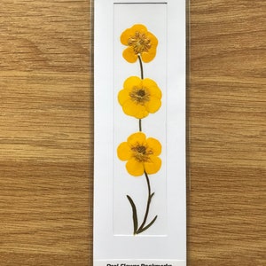 REAL Pressed Flower Bookmark, Botanical Bookmark, Gardeners Gift, Reading Gift, Forget Me Nots, Daisy Bookmark. Flower Bookmark. Buttercup Buttercups - No. 2