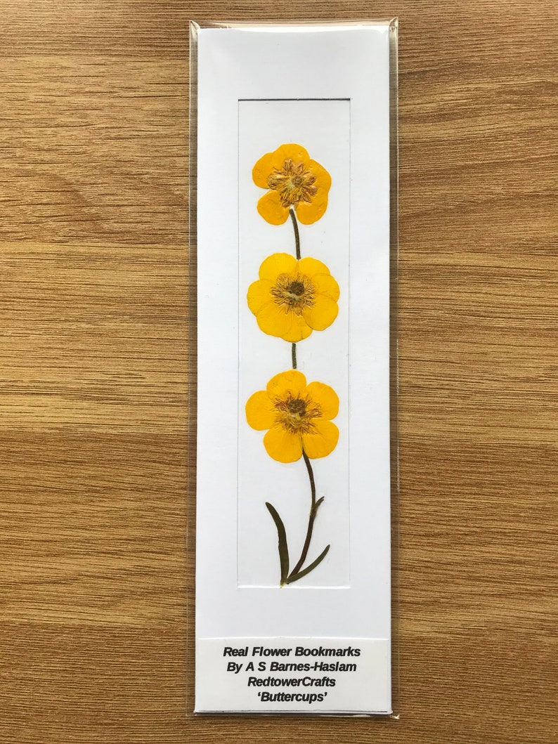 REAL Pressed Flower Bookmark, Botanical Bookmark, Gardeners Gift, Reading Gift, Forget Me Nots, Daisy Bookmark. Flower Bookmark. Buttercup Buttercups - No. 2