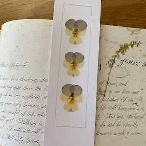 REAL Pressed Flower Bookmark, Botanical Bookmark, Gardeners Gift, Reading Gift, Forget Me Nots, Daisy Bookmark. Flower Bookmark. Buttercup zdjęcie 8