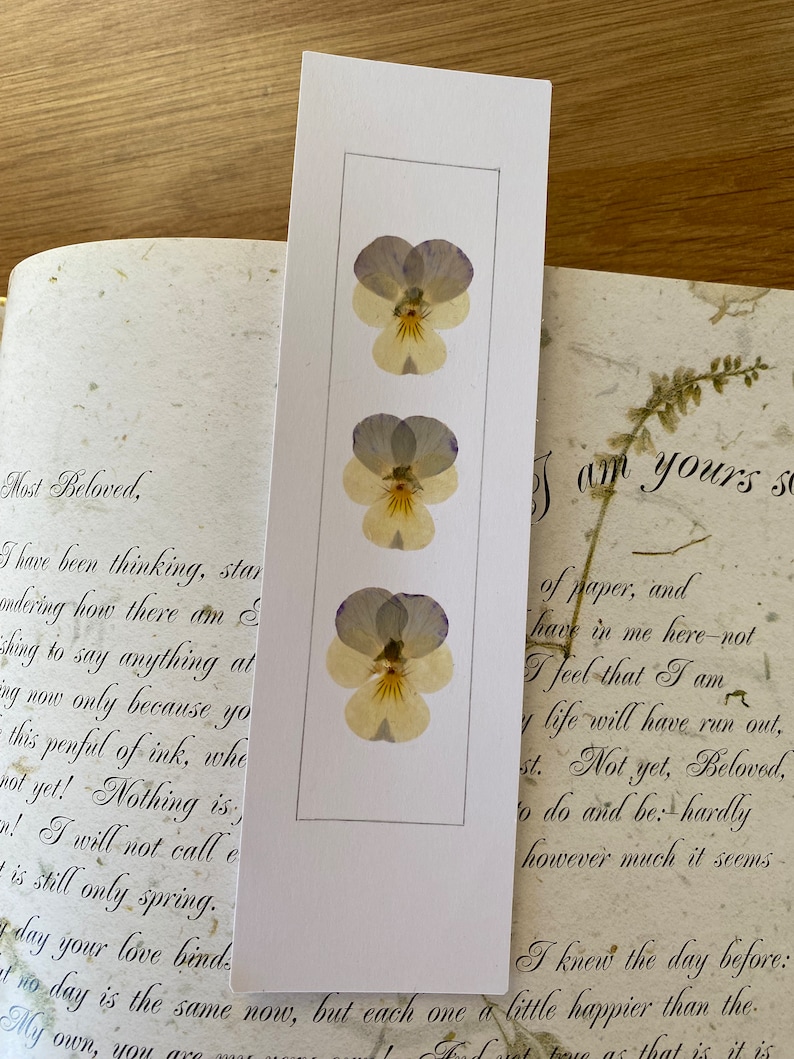 REAL Pressed Flower Bookmark, Botanical Bookmark, Gardeners Gift, Reading Gift, Forget Me Nots, Daisy Bookmark. Flower Bookmark. Buttercup zdjęcie 8