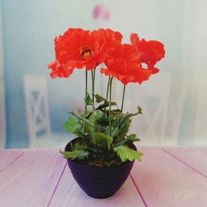 Artificial Red  Poppy in Pot-Polymer Clay Flowers-Gift for Women-Gift For Her-Cold porcelain-flower arrangement-Home Decor-Home Decoration