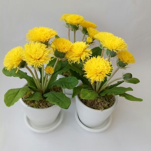 Dandelions-Polymer Clay Flowers-Mothers Day Gift for Women Gift For Her-Cold porcelain-flower arrangement-Real touch flowers-flowers in pots