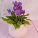 see more listings in the Fleurs en pot section