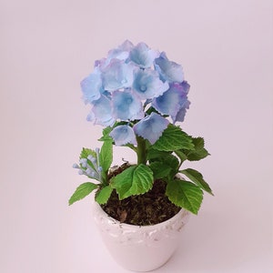 Hydrangea in the pot-Polymer clay flower-Cold porcelain flower-Flower arrangement-Realistic flower-Real touch flower-Botanical sculpture