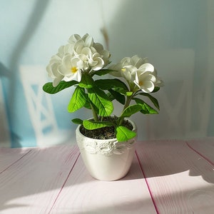 Hand-made frangipani/plumeria of Polymer clay-Cold porcelain flower-flower arrangement-Real touch flowers-fake flowers-floral home decor
