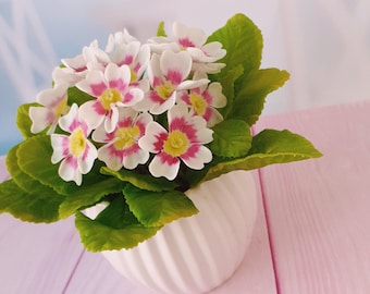 Primula  in the pot-Polymer clay flower-Cold porcelain flower-Flower arrangement-Realistic flower-Real touch flower-Botanical sculpture