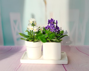 Composition porcelain flowers Wild violet in the pot,Flower arrangement,Realistic flower,handmade ceramic flowers,Botanical sculpture