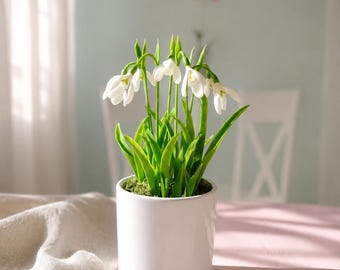 Snowdrops cold porcelain-Spring flowers in pot-Blue flower-Polymer clay Forest flower-Home Decorations Spring Decor-Faux snowdrops