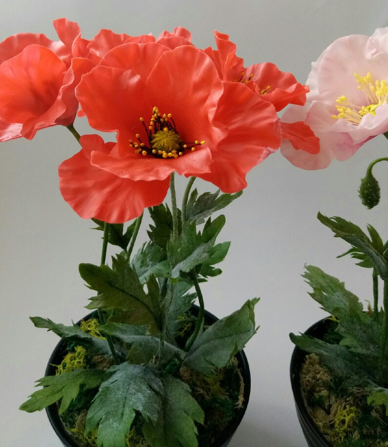 Red poppy Flower in Pot Polymer Clay Flowers Mothers Day Etsy