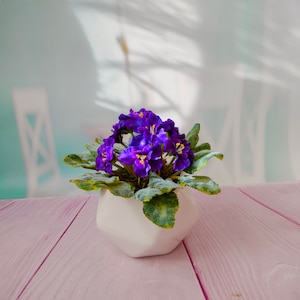 Violet in the pot-Polymer clay flower-Cold porcelain flower-Flower arrangement-Realistic flower-Real touch flower-Botanical sculpture