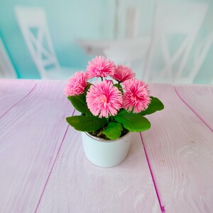 Handmade composition of Bellis-Polymer clay flower-Cold porcelain-Flower arrangement-Realistic flower-Real touch flower-Botanical sculpture