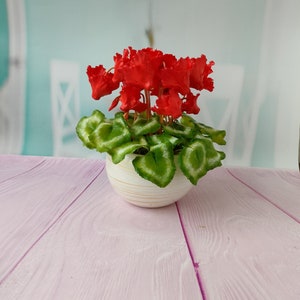 Ukraine flowers Handmade-Cyclamen in the pot-Polymer clay flower-Flower arrangement-Realistic flower-Real touch flower-Botanical sculpture