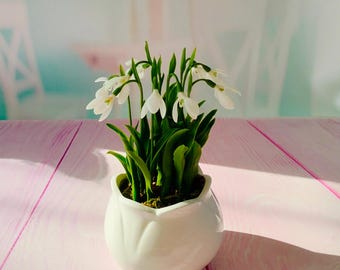 Cold Porcelain Snowdrops in Ceramic Pot: Spring Floral Decor