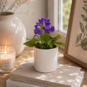 Könnte beinhalten: Eine kleine Topfpflanze mit leuchtend violetten Veilchenblüten und grünen Blättern steht in einem glatten, zylindrischen weißen Keramiktopf. Die Pflanze steht auf zwei gestapelten Hardcover-Büchern, The Kinfolk Home und Live Beautifully.