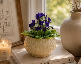 Wild violet in the pot-Polymer clay flower-Cold porcelain-Flower arrangement-Realistic flower-Real touch flower-handmade interior decoration