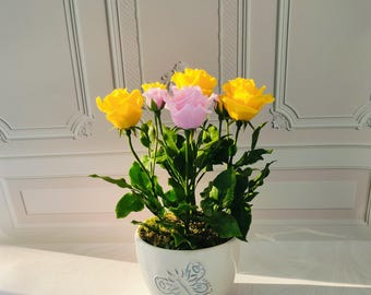 Flower Arrangement with 5 Roses in Pot-Select Your Color,Handmade Clay Flowers,Cold porcelain flower,clay bouquet flowers,Real touch flower