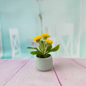 May include: A small potted plant with yellow flowers and green leaves. The plant is in a gray pot with a rough texture. The pot is sitting on a pink wooden table.