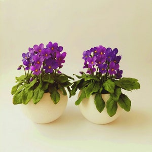 Wild violet in the pot-Polymer clay flower-Cold porcelain flower-Flower arrangement-Realistic flower-Real touch flower-Botanical sculpture