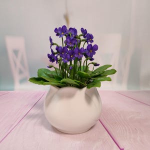 Composition porcelain flowers Wild violet in pot-Polymer clay flower-Cold porcelain-Flower arrangement-Realistic flower-Real touch flower