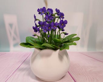 Composition porcelain flowers Wild violet in pot-Polymer clay flower-Cold porcelain-Flower arrangement-Realistic flower-Real touch flower