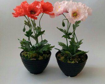 Red poppy in the pot - Polymer Clay Flowers - Mothers Day Gift for Women Gift For Her ,Cold porcelain, flower arrangement