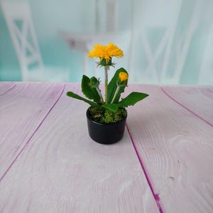 Composition of Dandelions-Polymer clay flower-Cold porcelain-Potted Plant Artificial-Realistic flower-Real touch flower-Botanical sculpture