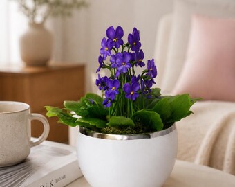Handmade Violet Arrangement in White Ceramic Pot, Purple Floral Decor, Cold Porcelain Flowers, Mother's Day Gift, Floral Home Decor