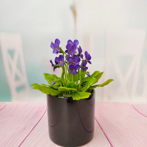 Wild violet in the pot-Polymer clay flower-Cold porcelain-Flower arrangement-Realistic flower-Real touch flower-handmade interior decoration