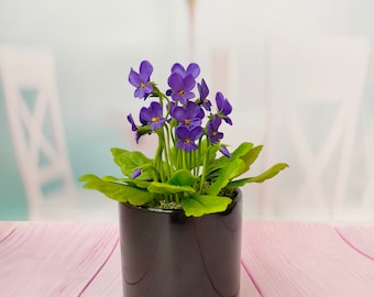 Wild violet in the pot-Polymer clay flower-Cold porcelain-Flower arrangement-Realistic flower-Real touch flower-handmade interior decoration