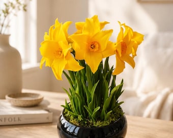 Daffodil Bouquet in Ceramic Pot: Cold Porcelain Flowers