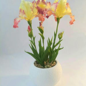 Iris in the pot-Polymer clay flower-Cold porcelain flower-Flower arrangement-Realistic flower-Real touch flower-Botanical sculpture