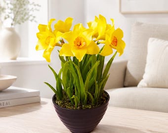 Polymer Clay Daffodils in Pot: Handmade Floral Arrangement
