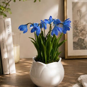 Scilla сold porcelain Spring flower,Polymer clay,table decor  flower,Forest flowers in pots,Artificial snowdrops,Real touch bouquet