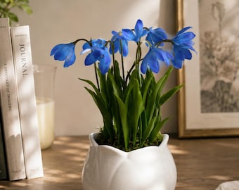 Scilla сold porcelain Spring flower,Polymer clay,table decor  flower,Forest flowers in pots,Artificial snowdrops,Real touch bouquet