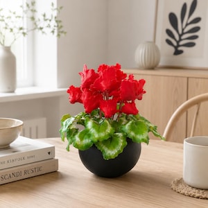 Oekraïne bloemen Handgemaakt-Cyclaam in de pot-Polymeerklei bloem-Bloemstuk-Realistische bloem-Real touch bloem-Botanische sculptuur