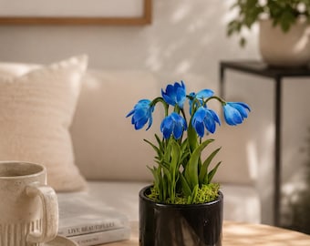 Scilla сold porcelain Spring flower,Forest flowers in pots, Miniature Flower Arrangement, Handmade Blue Scilla Decor, Realistic Clay Flowers