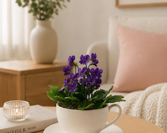 Handmade Purple Violet Arrangement in White Teacup, Cold Porcelain Flowers, Realistic Floral Decor, Mother's Day Gift