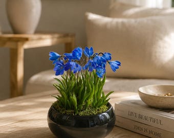 Scilla сold porcelain Spring flower,Polymer clay flower,table decor flower,Forest flowers,Cold porcelain,flowers in pots,table centerpiece