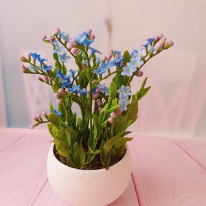 Forget-me-not in the pot-Clay flower-Cold porcelain-Polymer Clay Flowers-Gifts for mother-Floral Composition-Artificial flowers-fake flowers