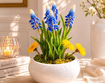 Cold Porcelain Muscari & Tussilago Flower Arrangement: Handmade Spring Decor