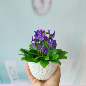 Composition porcelain flowers Wild violet in the pot-Polymer clay-Artificial Flowers Faux Plants Fake Floral Decor-handmade ceramic flowers