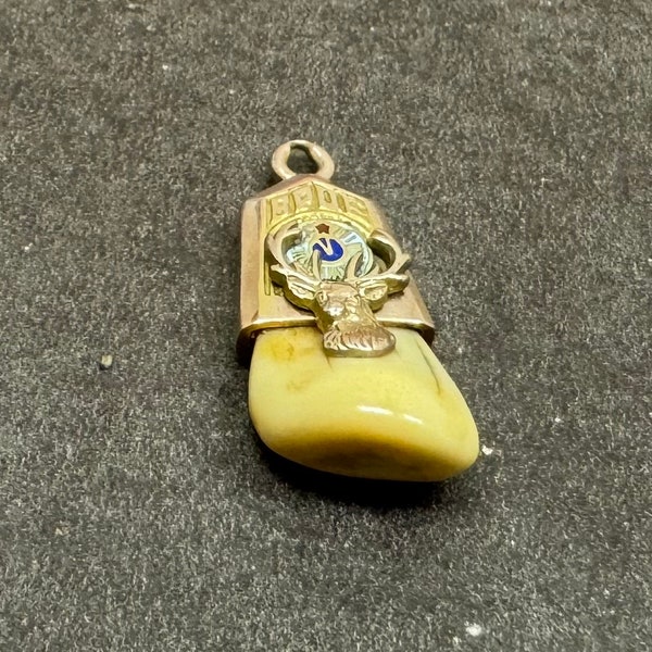 Vintage 14k yellow gold BPOE Elk Lodge / Elk  tooth pendant.